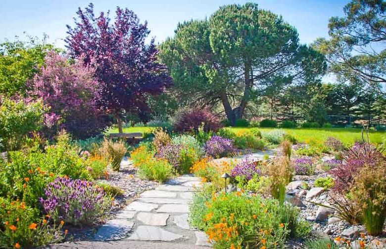 plantes résistantes à la sécheresse pour réduire la consommation d’eau extérieure