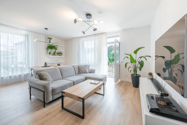 rénovation appartement salon moderne avec parquet et mur accent