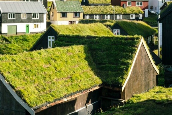 Toiture écologique végétalisée et durable